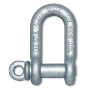 8-834 / Forged Chain Shackle